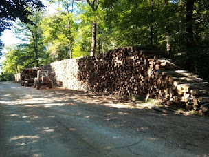 Photo n°12 de Quemy Mathieu à Vézelay (Exploitation forestière)