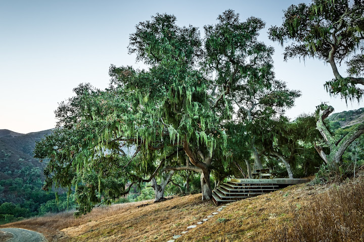 Alma Rosa Winery & Estate by null