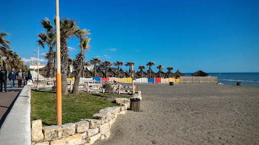Faber Beach - Visual
