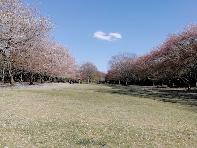 Lotus Blossom ロータスブロッサム お花屋さん Chiba 81 47 451 18 Japan