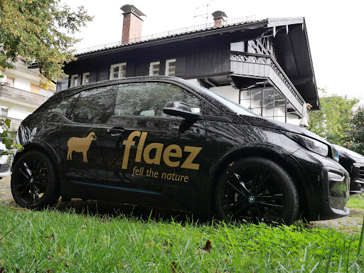 flaez - Visual
