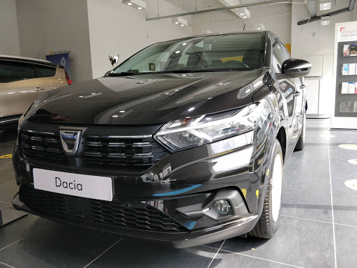 Hans Jongerius car company Renault and Dacia Gouda - Thumbnail