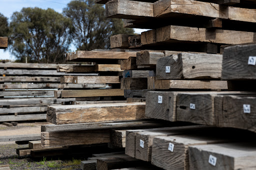 Timberzoo - Visual
