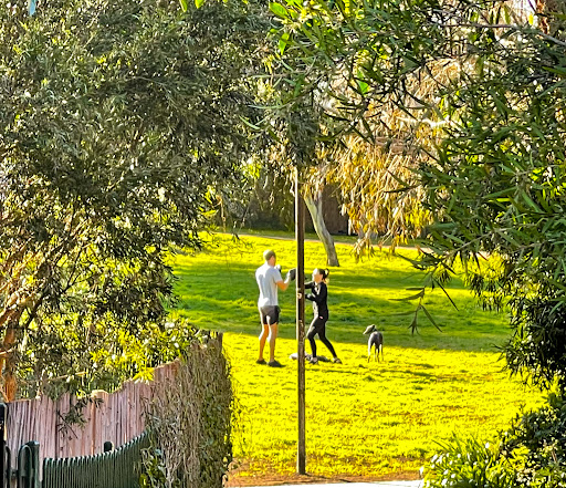 Smart Street Reserve - Thumbnail