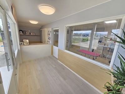 Wan’s Fam ワンズファム