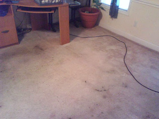 Southern Carpet Cleaners - Thumbnail