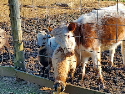 Barnyard Friends & Stables