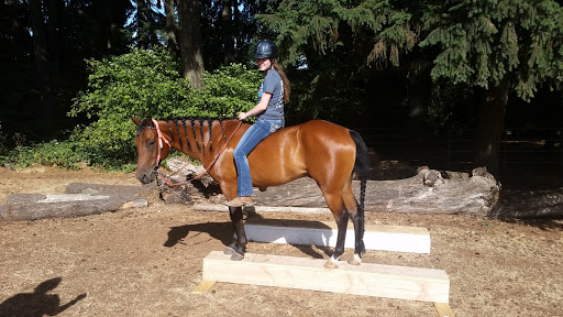 Brokenridge Stables - Visual
