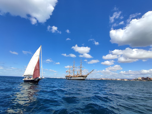 Museo dal mare - Visual