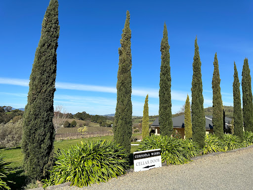 Corniola Wines - Visual