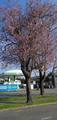 Halfords Autocentre Ruislip - Thumbnail