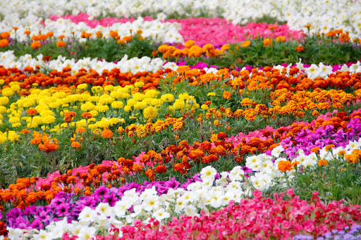 Tanda Carlo Impresa di Giardinaggio Castelletto Monferrato - Thumbnail