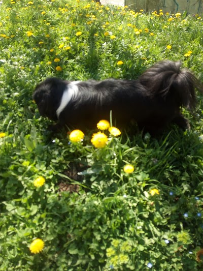 Photos of Jasmin