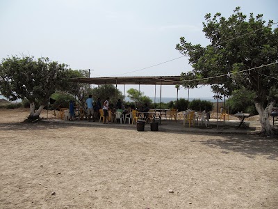 Photos of Girl Guides Association of Cyprus Governor's Beach Campsite