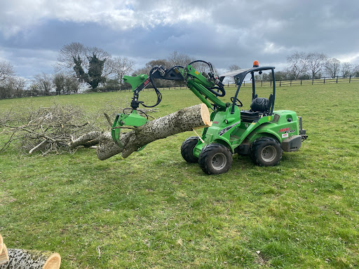Honey Tree Surgeons Ltd - Thumbnail