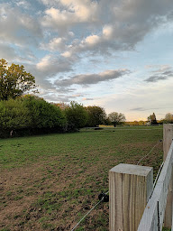 Photo n°2 de Domaine de la Potelière à Les Bottereaux (Écurie)