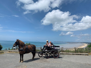 Photo n°16 de La Cavalerie d'Andrea à Saint-Pair-sur-Mer (Centre équestre)