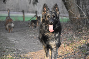 Photo n°3 de élevage des Ambres Sera à Merry-sur-Yonne (Magasin)