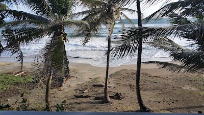 Photos of Almost Paradise Cottages & Restaurant