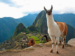 Voy Pá Perú Tours Sac 7