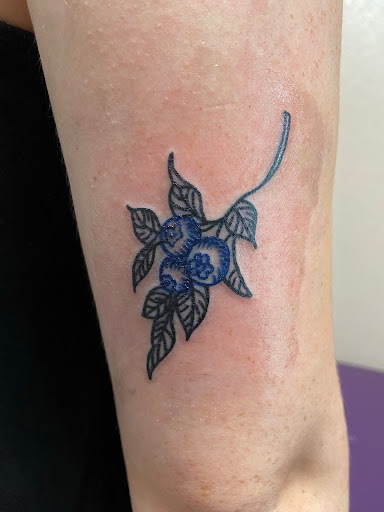 Mango's Ink - Visual