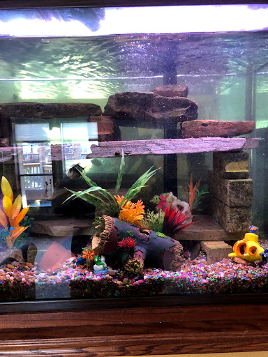 Wright Aquarium Services - Visual