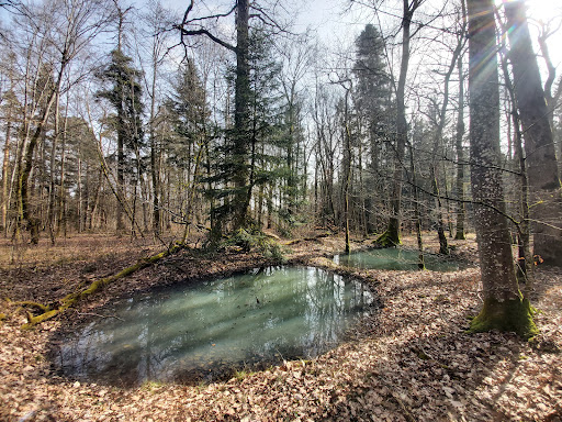 Bohnerzpfad - Thumbnail