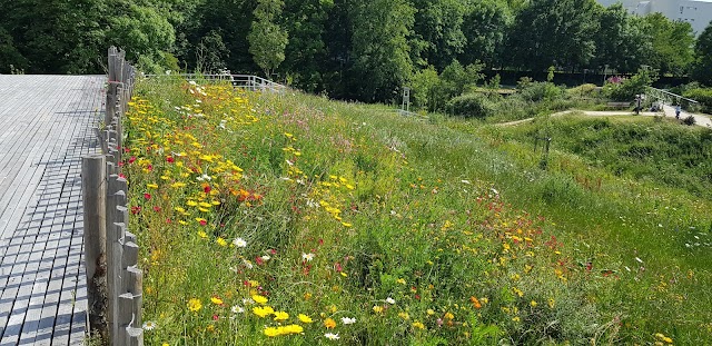 Prairies Saint-Martin