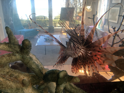 Expert Aquarium Service - Thumbnail