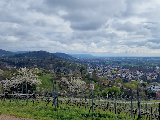 Kirchberghäuschen - Thumbnail