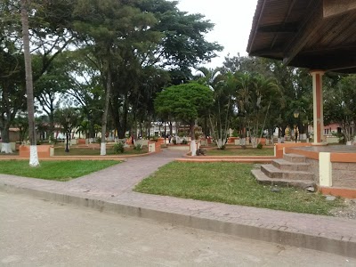 Photos of comercial pinalejo stihl