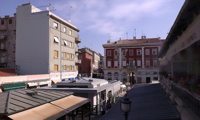 Market Ltd.