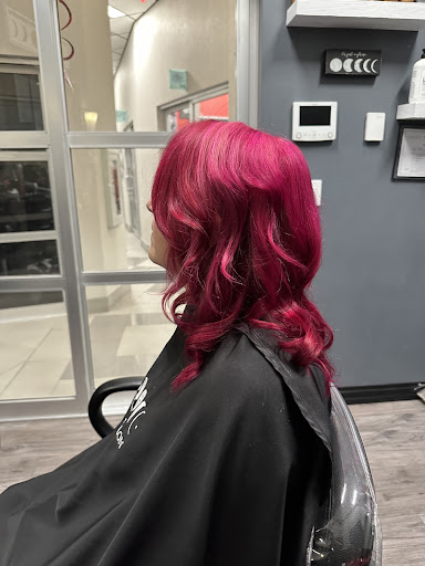 Phase Salon - Visual