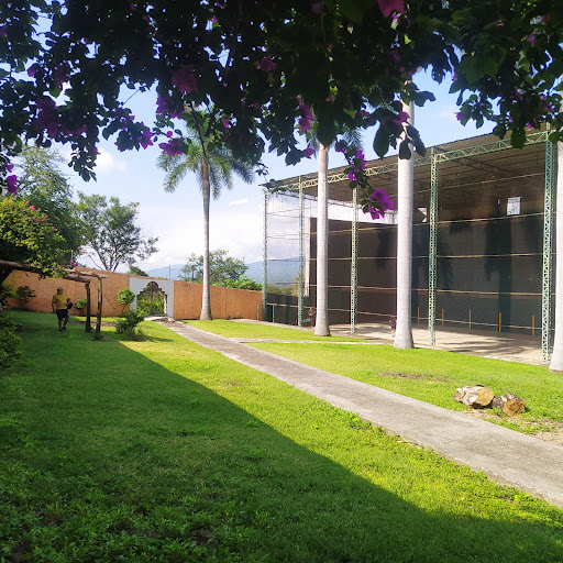 Frontón Yautepec - Visual