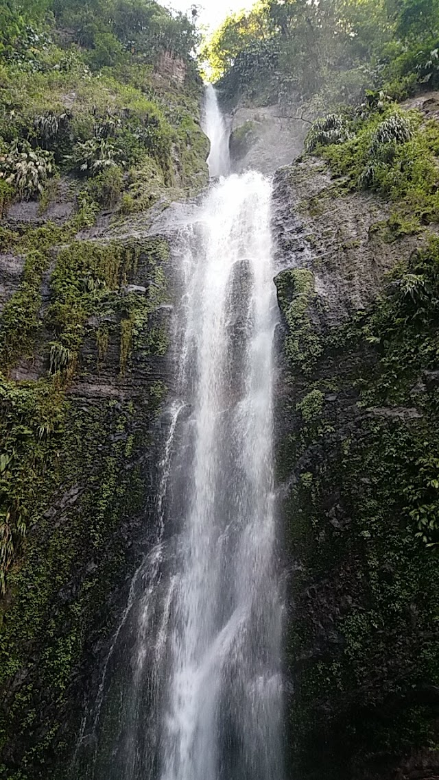 Chute Moreau