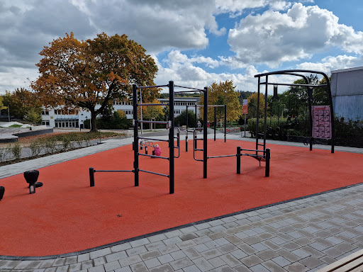 Calisthenics Fitness Parkour (Kreuztal)