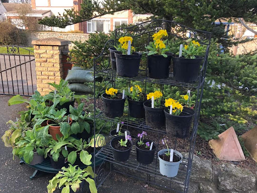 Val's Plant Stall - Thumbnail