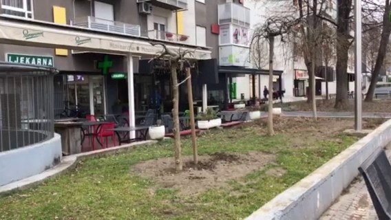 Recenzije Milky u Zagreb - Restoran