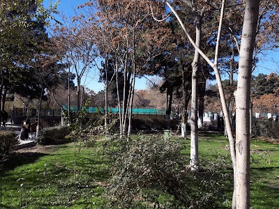 Photos of Kabul Zoo