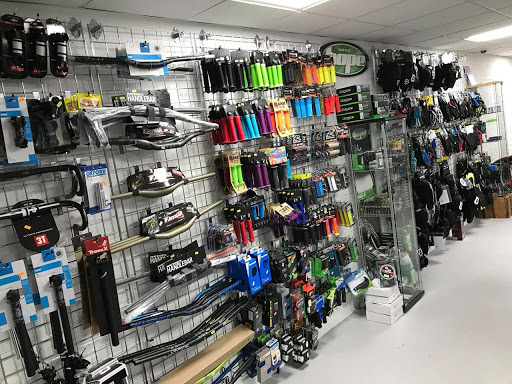 EC Cycles - Visual