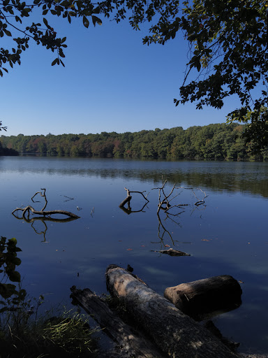 Greenbelt Trail parking, Blydenburgh County Park - Thumbnail