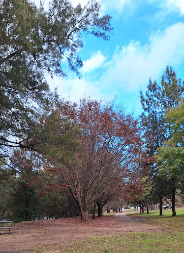 Swinging Bridge Reserve - Thumbnail