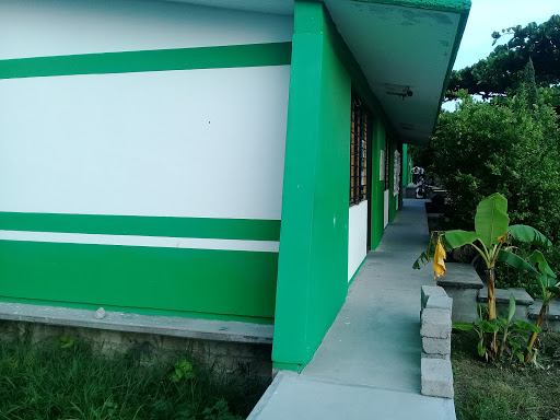 escuela iebo