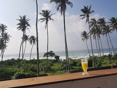 Photos of Cocoplant Surf Inn & Surf Camp