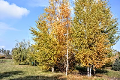 Photos of Issykskiy Dendrariy (Arboretum), Ao "Lesnoy Pitomnik"
