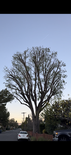 Redwood Arbor Care