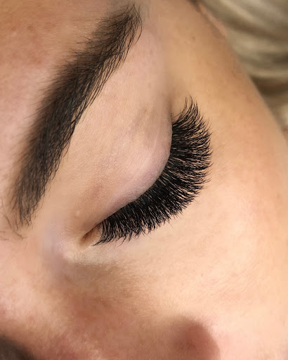 Dandy Lashes - Visual