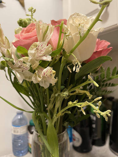 Florist.ca - Visual