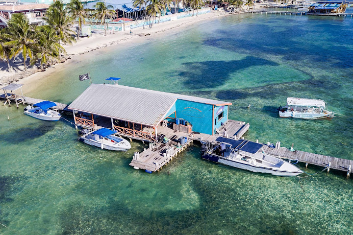 Blue Tang Inn by null