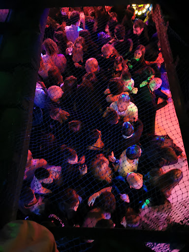Pub Cock - Thumbnail